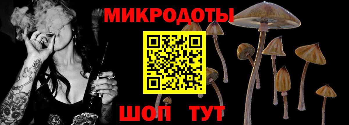 Галлюциногенные грибы мицелий Чита